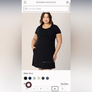 Kindred Bravely Eleanora Nursing dress
